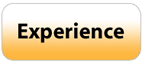 Experience